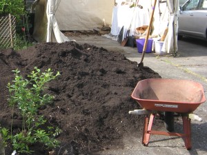 Then it has to be shoveled