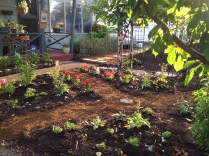 Flower beds and paths